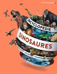 Couverture du livre L'école des dinos, collection Castor Romans, éditions Flammarion Jeunesse